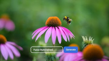 Elements 2026 bundle: Imagine what you can do.