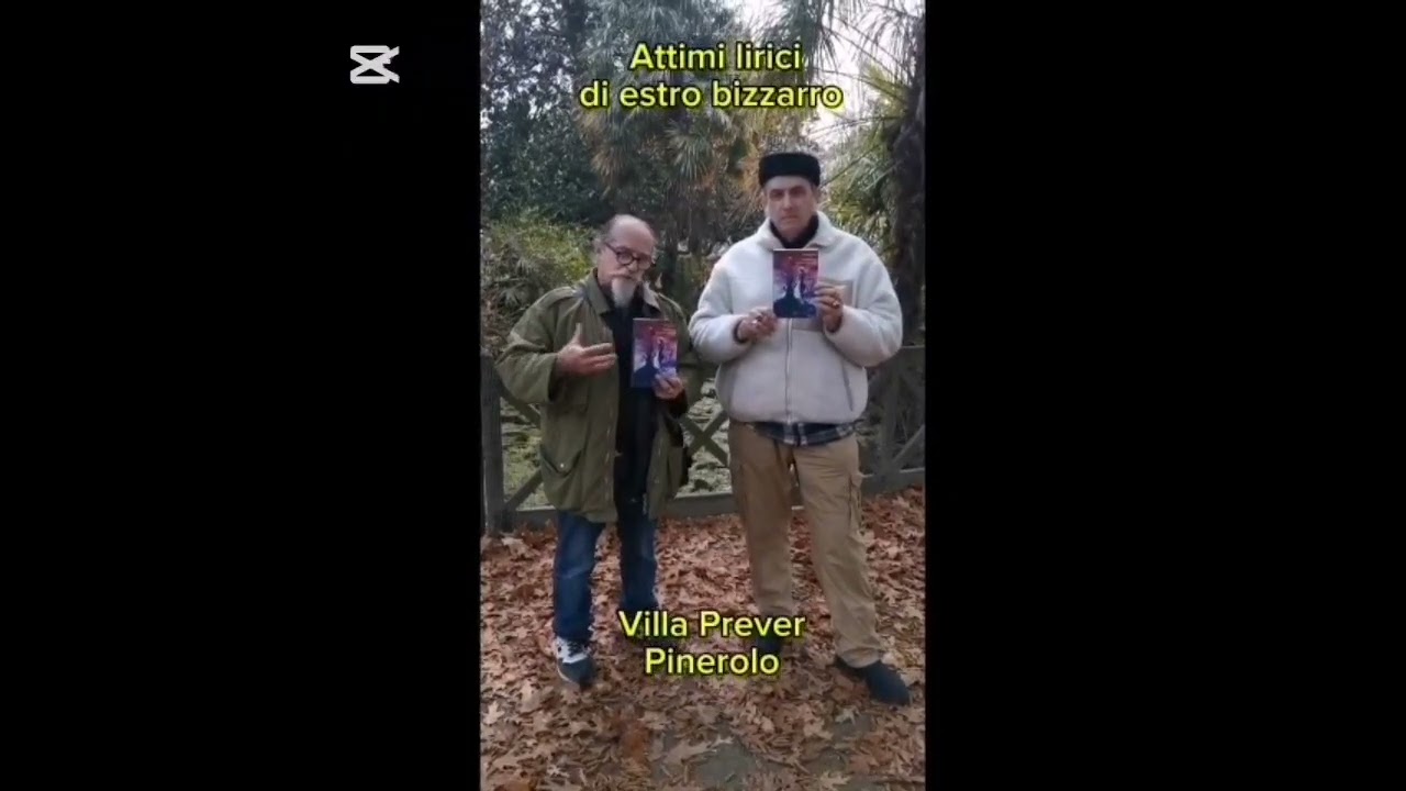 ATTIMI LIRICI DI ESTRO BIZZARRO: la poesia di Postremo Vate e la pittura di Plauso Nivo Battistini!