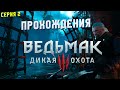 ВЕДЬМАК 3 ДИКАЯ ОХОТА | Поиски Йеннифэр | Прохождения 2 серия