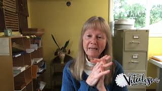 Conversations with Nature and the Wisdom of Honeybees with Jacqueline Freeman