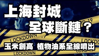 上海封城 全球斷鏈？玉米創高 植物油系全線噴出 20220418《楊世光在金錢爆》第2845集