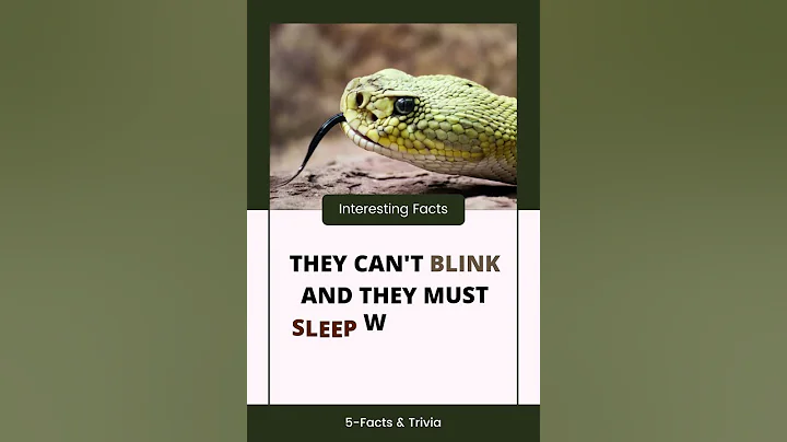 Cool Facts About snakes |5-Facts & Trivia| #shorts #snake #facts