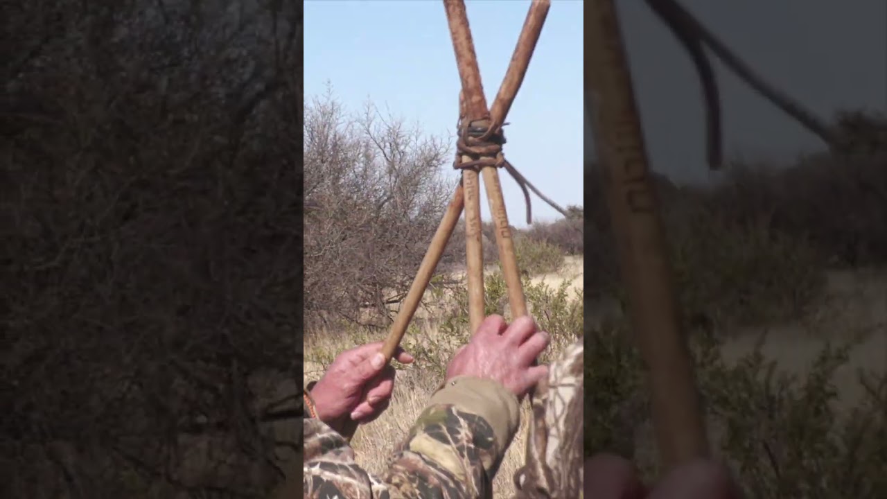 Lechwe IMPACT SHOT #hunting