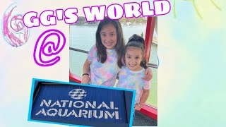 Ggs World Baltimore Aquarium