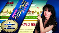 фото хризантема жёлтая