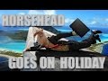 Horsehead goes on holiday