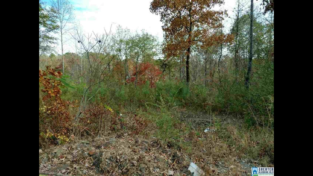 Homes for sale 1460 STEVE CROWDER RD, BESSEMER, AL 35023 YouTube
