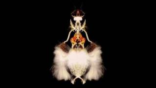 Download Lagu Bola - Magnasushi MP3