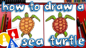 How To Draw A Realistic Sea Turtle