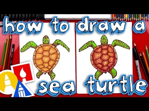 Video: Where To Give The Turtle