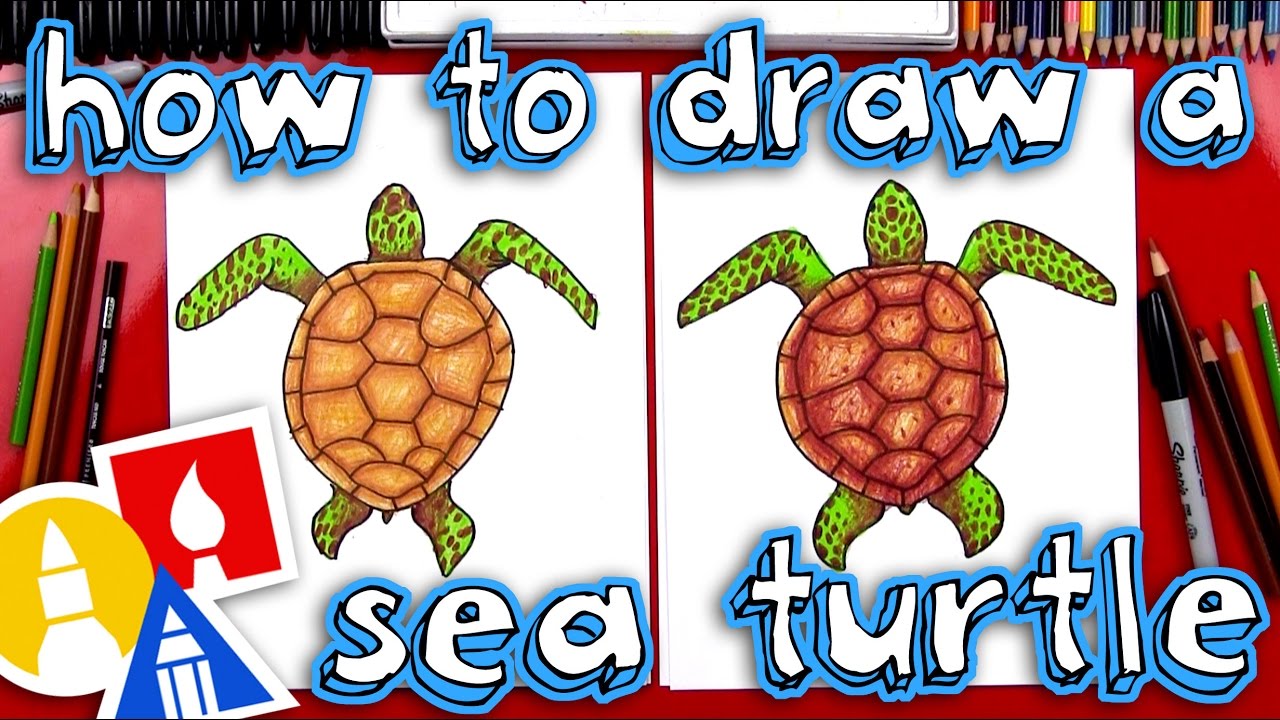 sea turtles drawing