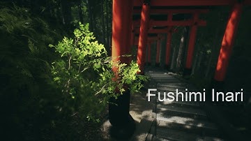 Most Chill Game Ever - Fushimi Inari | Unreal Engine 4