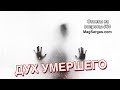 Что Такое Дух Умершего Человека - Маг Sargas