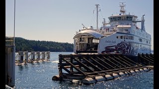 Salish Eagle Arriving at Pender Island