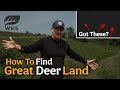 Scouting For Bucks | 5 Creatures That Equal Great Deer Hunting!