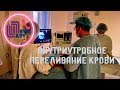 Врачи Ленобласти впервые сделали внутриутробное переливание крови