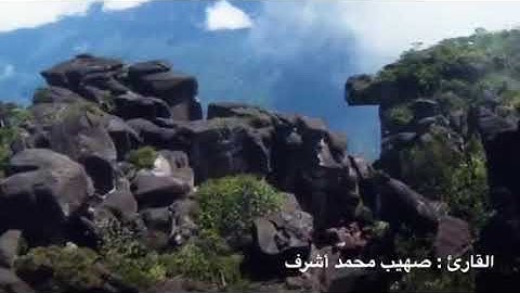 #تلاوة_خاشعة للقارئ صهيب محمد أشرف - ماتيسر من سورة الانعام