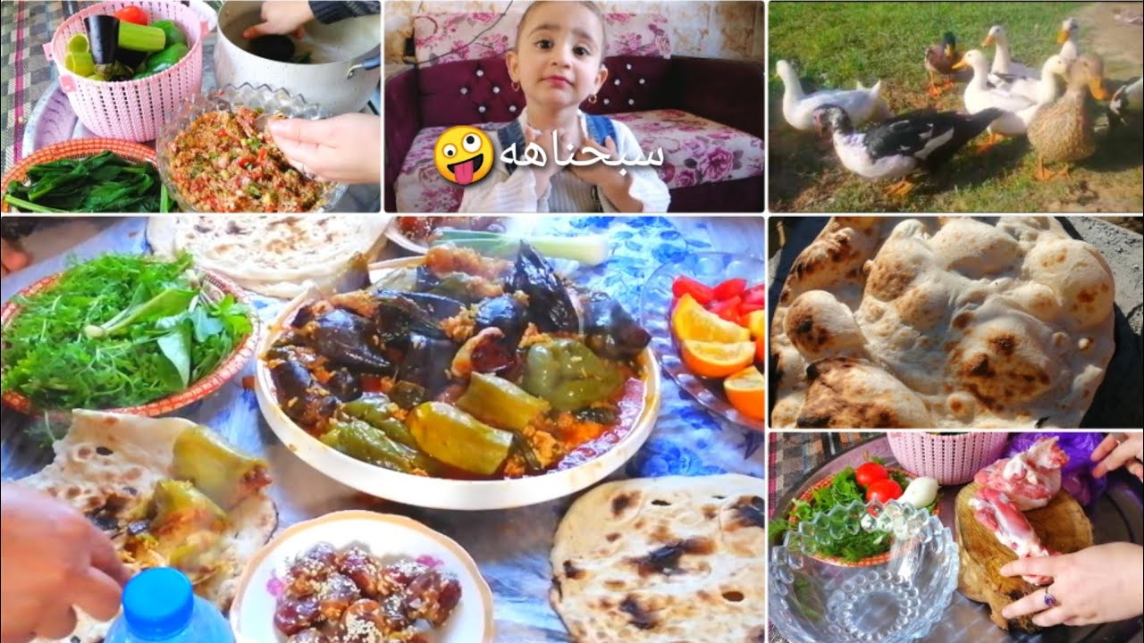 #عزمت_عمتي ام زوجي طبخت شلون دولمه ضيم وربي😂خليتهه تساعدني رقاوي خبلتهم😆عيالي شسويلهم ماراضين عليه😣