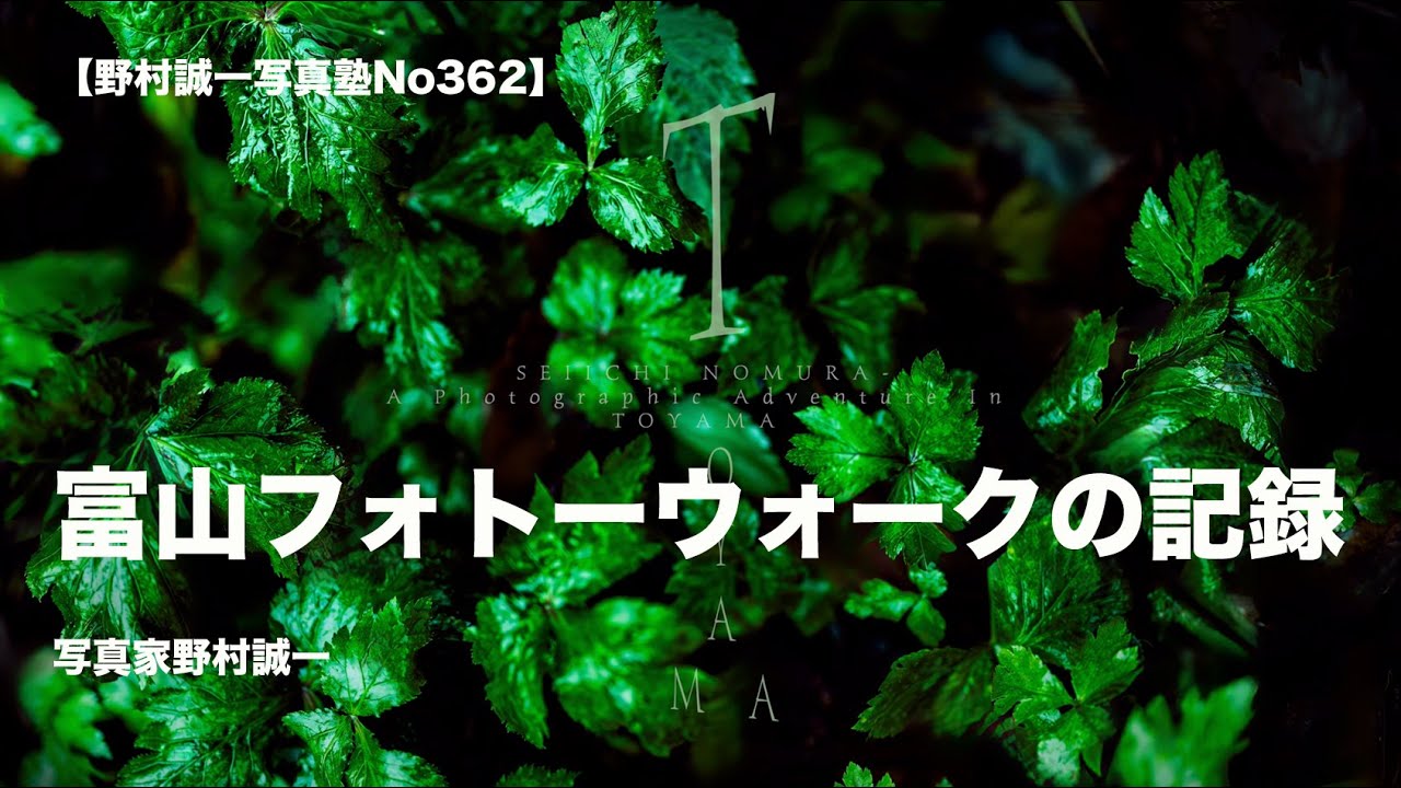 野村誠一写真塾No362】CANON R1の素晴らしい描写、その作例で始まる