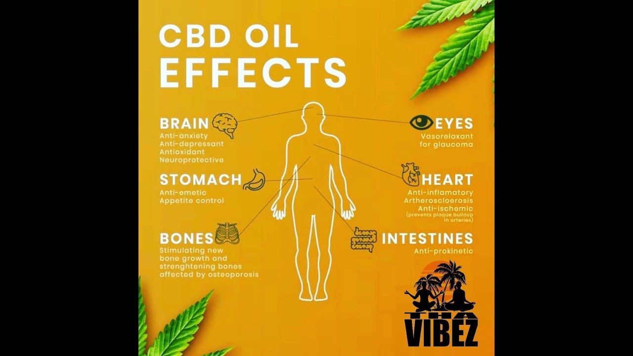 Learn How CBD Oil Effects the Body YouTube