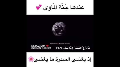 راحة نفسية ⚡❤ حالات واتساب ⚡🎧 وديع اليمني⚡❤ تلاوة جميلة ⚡❤ قران كريم ⚡❤