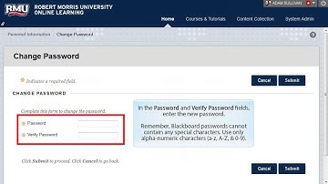 Changing Your Blackboard Password
