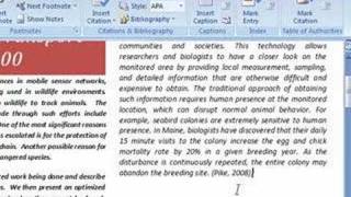 Microsoft Word 2007:  Bibliography