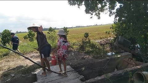 Một ngày đi câu cá ở đồng quê (Bất ổn)