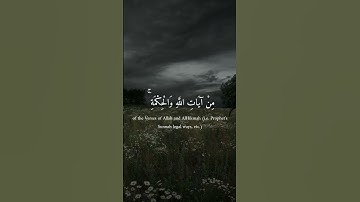 سورة الأحزاب آية ( 34 )