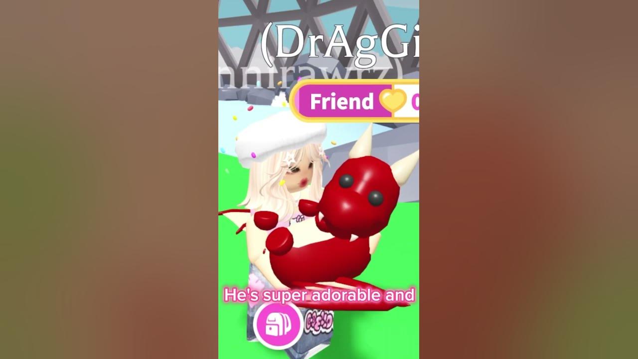 Adopt Me Pet Tour PT 1 CCBD Alicorn Dragon YouTube adopt-me-pet-tour-pt-1-ccbd-alicorn-dragon-youtube