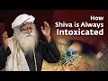 #YogiShiva Webseries Ep 05 - Why & How Shiva Is Always Intoxicated