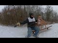 360 Dog Walk Video CARDI Says Adopt Me - Dog Walks Doug & Just Wants Real Home #AdoptMe