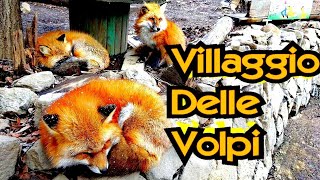 Fox Village - Vivi Giappone