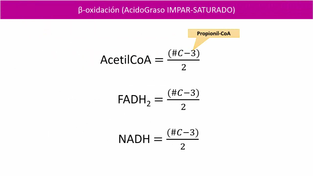 Beta oxidación de acidos grasos saturados de cadena impar - YouTube