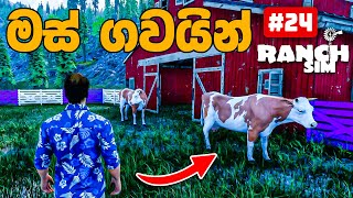 I built a barn for beef cows in Ranch Simulator PC gameplay #24