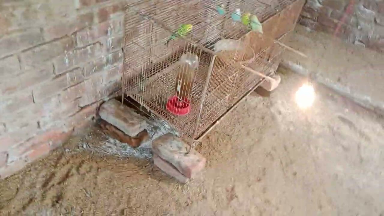 কিছু নতুন করার চেষ্টা।। 