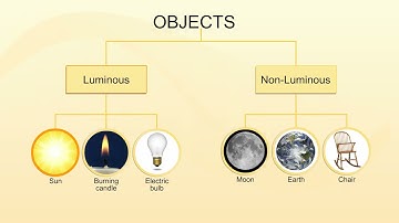 Light | Luminous | Non- Luminous objects | Science | Class 5