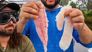 Blindfolded Fish Taste Test – Would You Be Able to Guess the Fish?