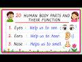 Human Body Parts and Functions | Human Body Parts Name and their Function | 20 Human Body Parts