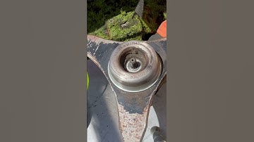 This Blade is a Beast! 👹