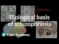 Biological basis of schizophrenia  behavior  mcat  khan academy