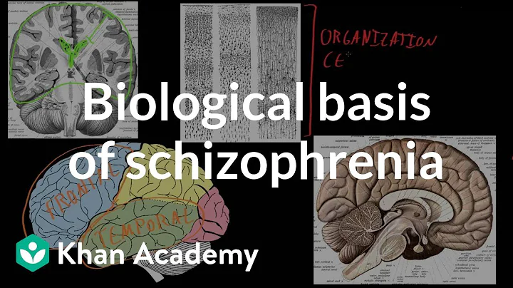 Biological basis of schizophrenia | Behavior | MCAT | Khan Academy
