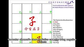What is the Five Elements attribute of the Life Palace in the Child Palace? screenshot 3