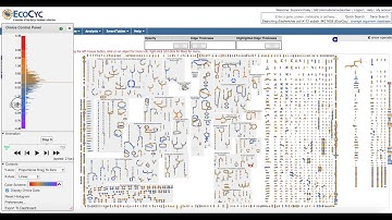 New BioCyc Omics Viewer Controls