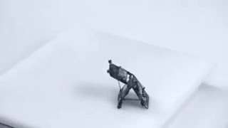 Robot Ant By EPFL