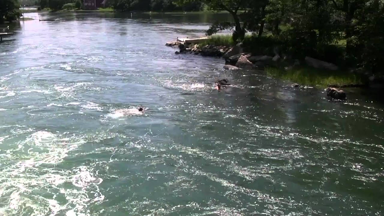 Girl jumping into river from bridge - YouTube
