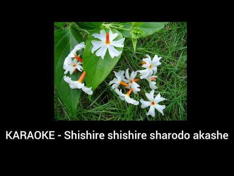 FULL KARAOKE WITH LYRICS   shishire shishire sharodo akashe by Subhamita