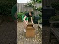 Genius Gardening Grow Huge Tomatoes from a Single Slice