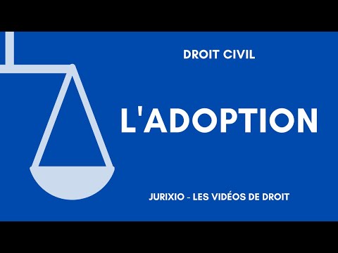 Vidéo: Peut-on adopter en privé ?