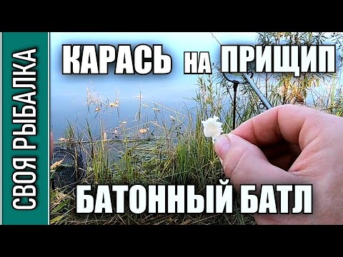 Карась на прищип